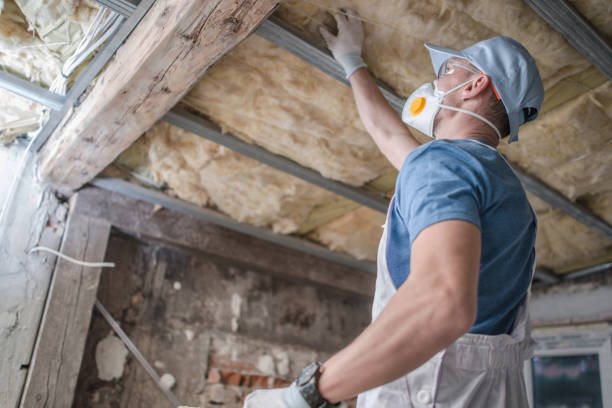 Best Commercial Insulation in Palmetto Bay, FL
