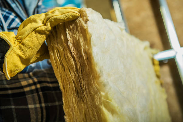 Best Insulation Maintenance and Repair in Palmetto Bay, FL